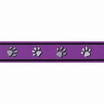 Pawprints Purple