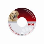 DVD Vcvik ps