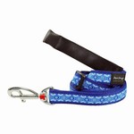 Snake Eyes Blue